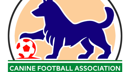 Dog Football Sessions