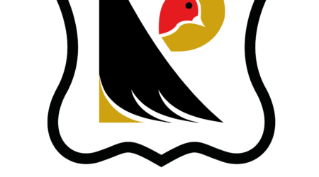 Super Robins Receive Wiltshire Community Foundation Grant